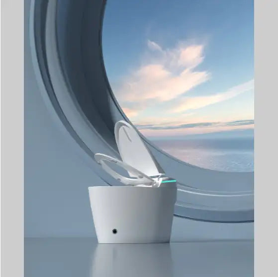 Smart Toilet