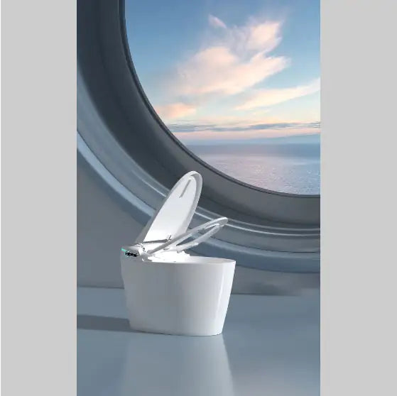 Smart Toilet