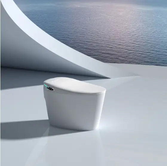 Smart Toilet
