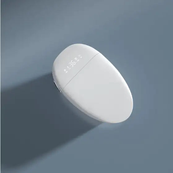 Smart Toilet